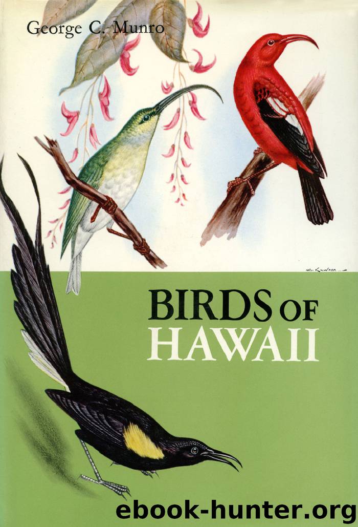 Hawaiian Bird Crossword Clue